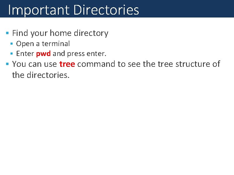 Important Directories Find your home directory Open a terminal Enter pwd and press enter.