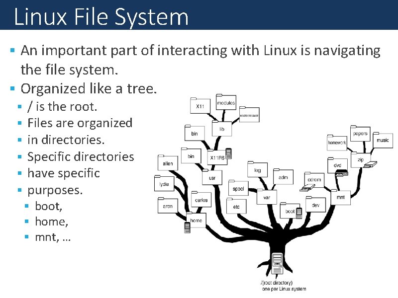 Linux File System An important part of interacting with Linux is navigating the file