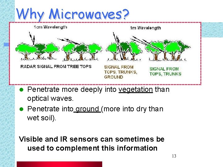 Why Microwaves? Penetrate more deeply into vegetation than optical waves. l Penetrate into ground