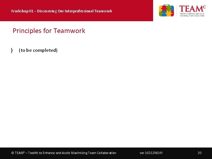 Workshop 01 – Discovering Our Interprofessional Teamwork Principles for Teamwork 〉 (to be completed)
