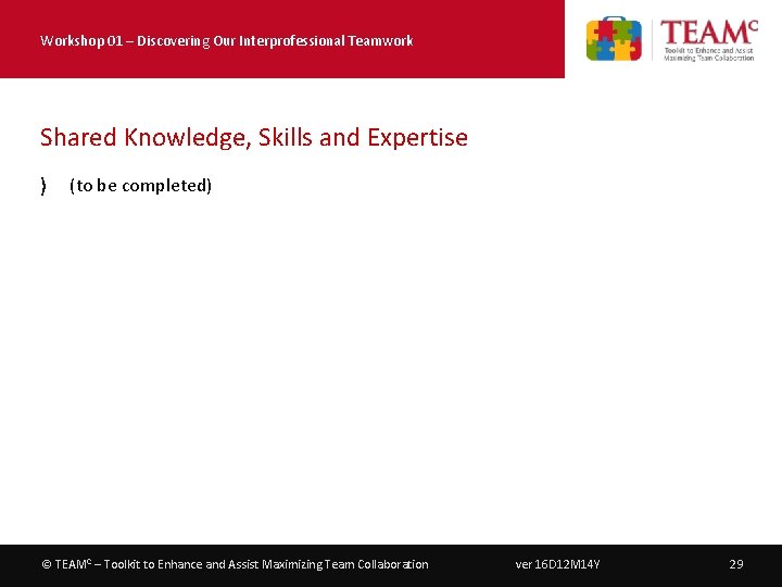 Workshop 01 – Discovering Our Interprofessional Teamwork Shared Knowledge, Skills and Expertise 〉 (to