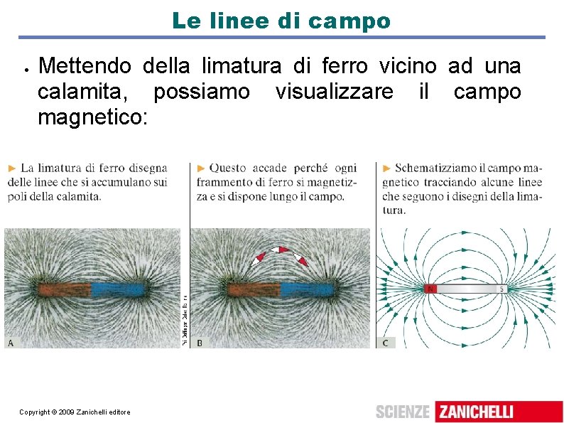 Le linee di campo Mettendo della limatura di ferro vicino ad una calamita, possiamo