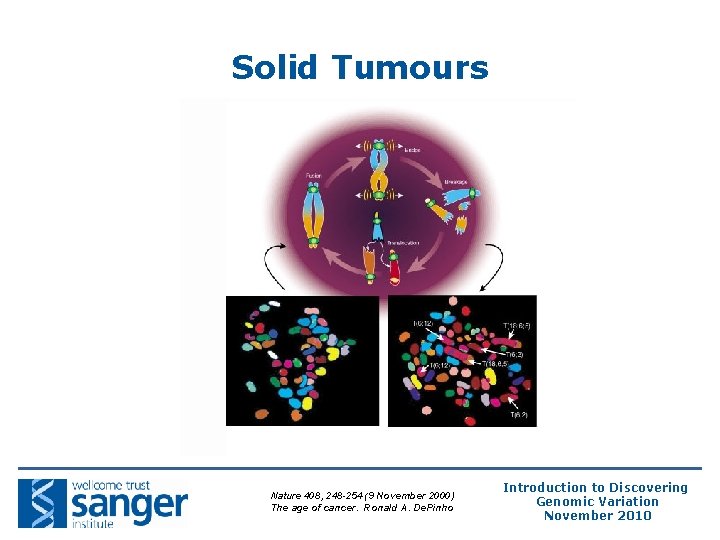 Solid Tumours Nature 408, 248 -254 (9 November 2000) The age of cancer. Ronald Solid Tumours Nature 408, 248 -254 (9 November 2000) The age of cancer. Ronald