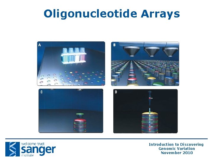 Oligonucleotide Arrays Introduction to Discovering Genomic Variation November 2010 Oligonucleotide Arrays Introduction to Discovering Genomic Variation November 2010