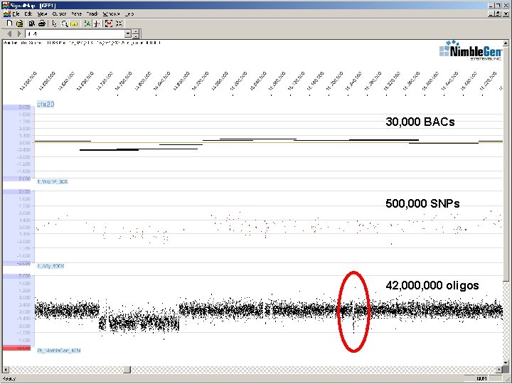 30, 000 BACs 500, 000 SNPs 42, 000 oligos Introduction to Discovering Genomic Variation 30, 000 BACs 500, 000 SNPs 42, 000 oligos Introduction to Discovering Genomic Variation