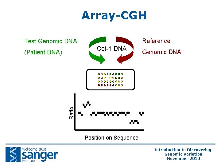 Array-CGH Reference Test Genomic DNA Cot-1 DNA Genomic DNA Ratio (Patient DNA) Position on Array-CGH Reference Test Genomic DNA Cot-1 DNA Genomic DNA Ratio (Patient DNA) Position on