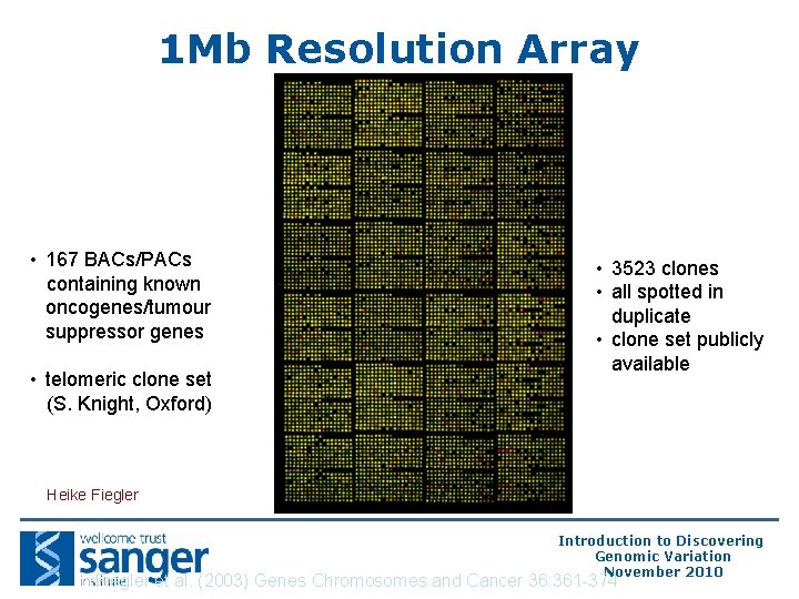 1 Mb Resolution Array • 167 BACs/PACs containing known oncogenes/tumour suppressor genes • telomeric 1 Mb Resolution Array • 167 BACs/PACs containing known oncogenes/tumour suppressor genes • telomeric