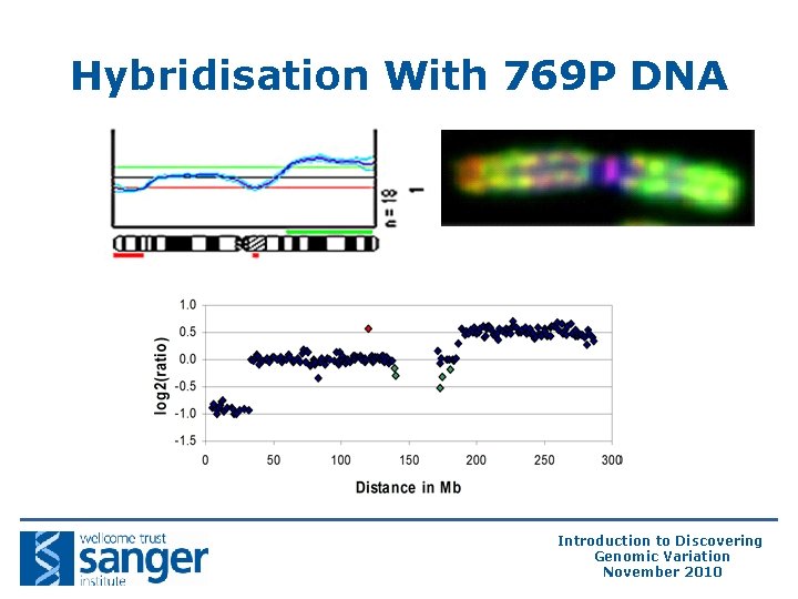 Hybridisation With 769 P DNA Introduction to Discovering Genomic Variation November 2010 Hybridisation With 769 P DNA Introduction to Discovering Genomic Variation November 2010