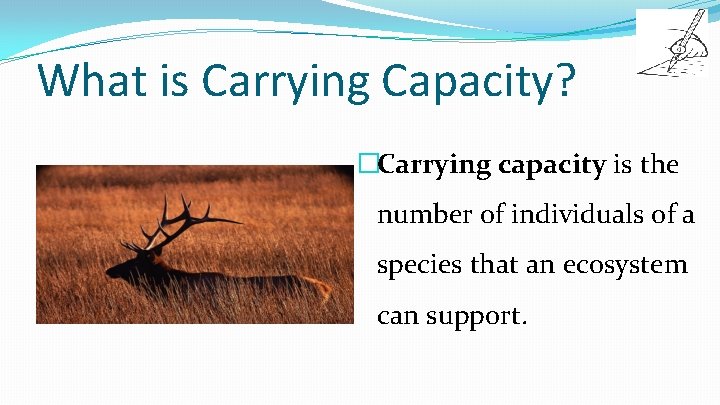 What is Carrying Capacity? �Carrying capacity is the number of individuals of a species