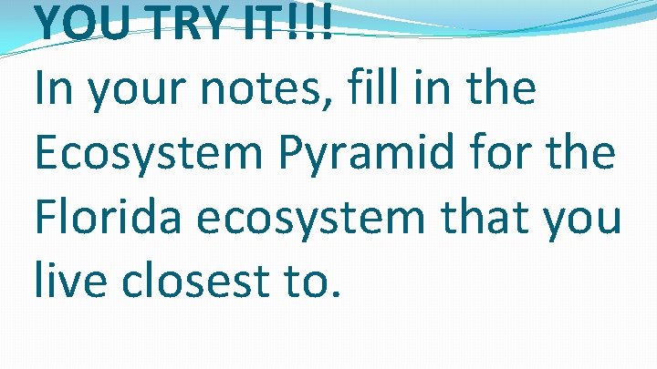 YOU TRY IT!!! In your notes, fill in the Ecosystem Pyramid for the Florida