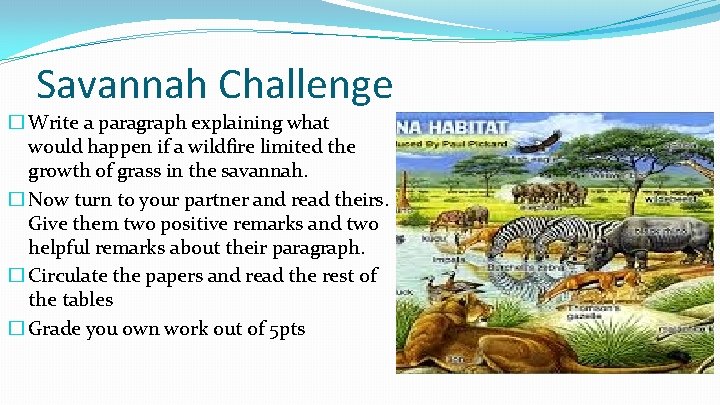 Savannah Challenge � Write a paragraph explaining what would happen if a wildfire limited