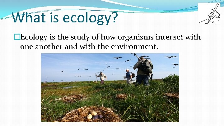 What is ecology? �Ecology is the study of how organisms interact with one another