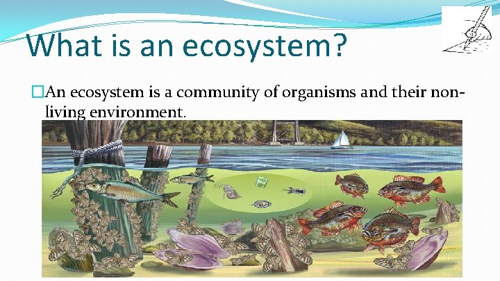 What is an ecosystem? �An ecosystem is a community of organisms and their nonliving