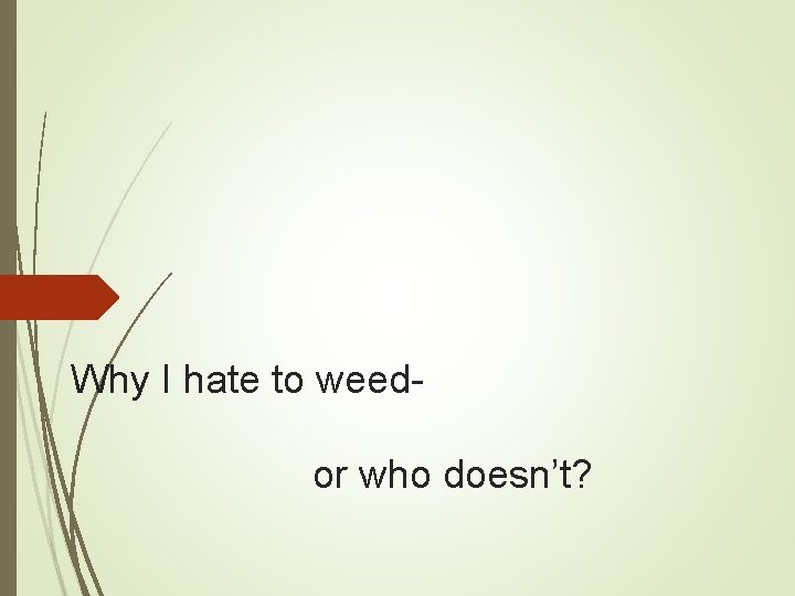 Why I hate to weedor who doesn’t? Why I hate to weedor who doesn’t?