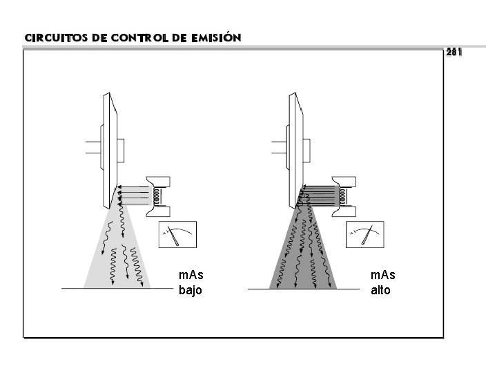 m. As bajo m. As alto 