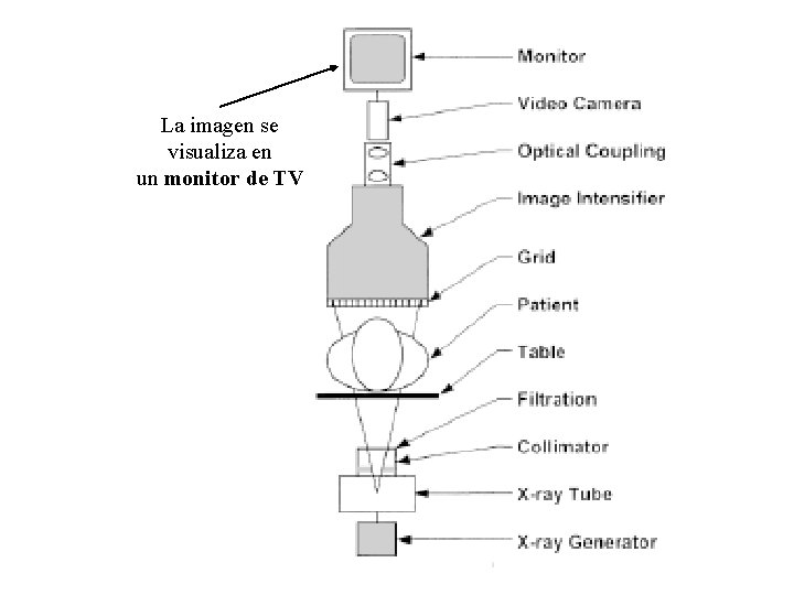 La imagen se visualiza en un monitor de TV 