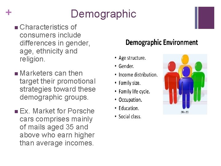 + Demographic n Characteristics of consumers include differences in gender, age, ethnicity and religion.