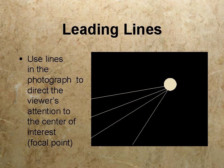 Leading Lines § Use lines in the photograph to direct the viewer’s attention to