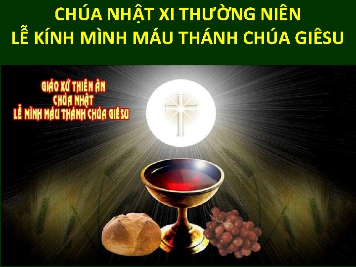 CHÚA NHẬT XI THƯỜNG NIÊN LỄ KÍNH MÌNH MÁU THÁNH CHÚA GIÊSU 