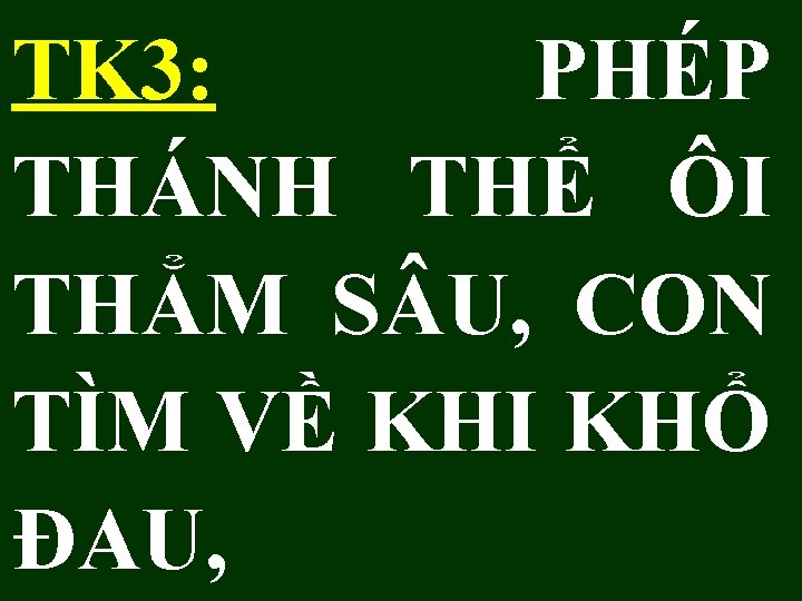 TK 3: PHÉP THÁNH THỂ ÔI THẲM S U, CON TÌM VỀ KHI KHỔ