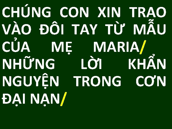 CHÚNG CON XIN TRAO VÀO ĐÔI TAY TỪ MẪU CỦA MẸ MARIA/ NHỮNG LỜI