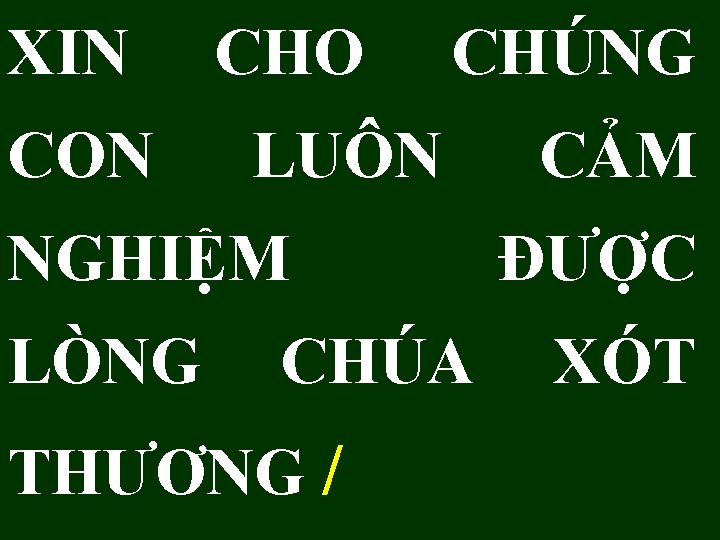 XIN CON CHO CHÚNG LUÔN NGHIỆM CẢM ĐƯỢC LÒNG CHÚA XÓT THƯƠNG / 