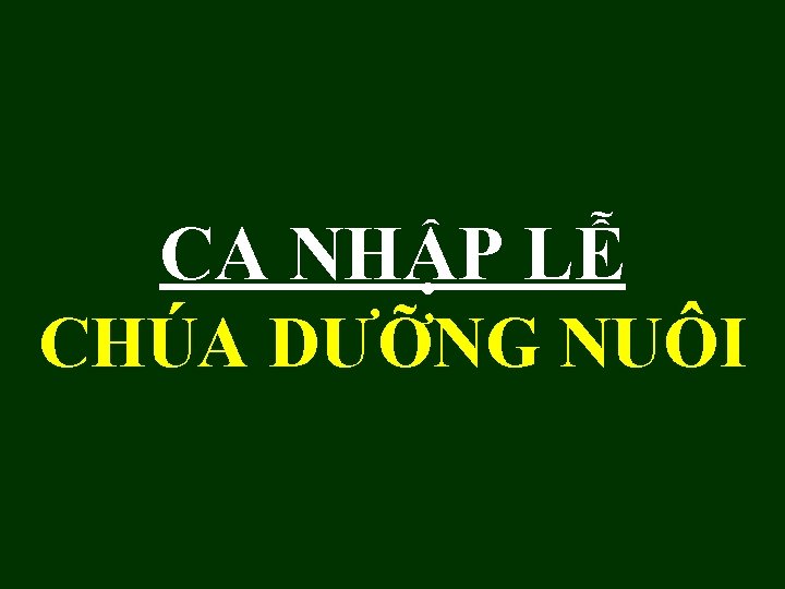 CA NHẬP LỄ CHÚA DƯỠNG NUÔI 