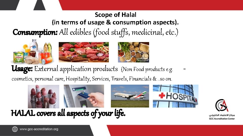 Scope of Halal (in terms of usage & consumption aspects). Consumption: All edibles (food