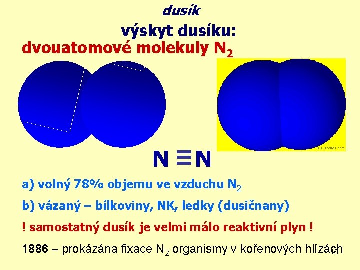 dusík výskyt dusíku: dvouatomové molekuly N 2 N N a) volný 78% objemu ve