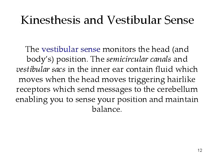 Kinesthesis and Vestibular Sense The vestibular sense monitors the head (and body’s) position. The