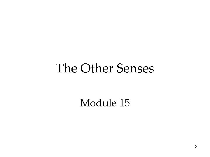 The Other Senses Module 15 3 