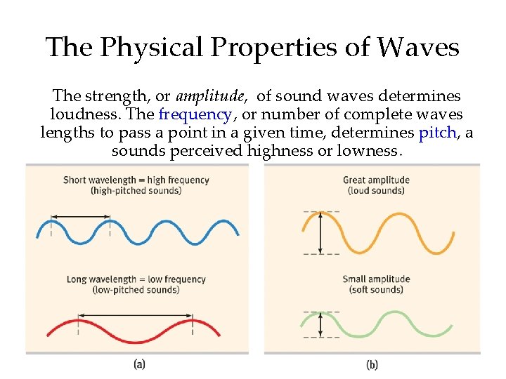 The Physical Properties of Waves The strength, or amplitude, of sound waves determines loudness.