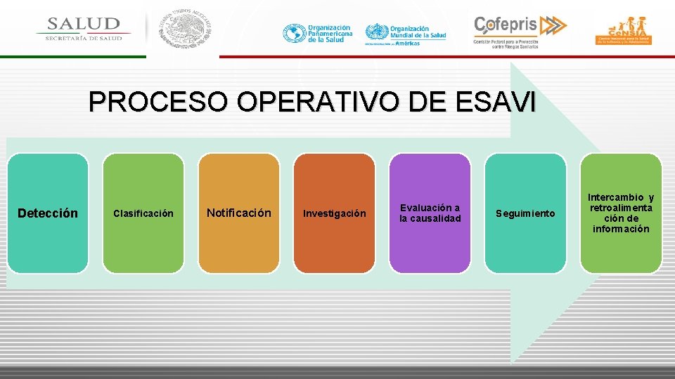 PROCESO OPERATIVO DE ESAVI Detección Clasificación Notificación Investigación Evaluación a la causalidad Seguimiento Intercambio PROCESO OPERATIVO DE ESAVI Detección Clasificación Notificación Investigación Evaluación a la causalidad Seguimiento Intercambio