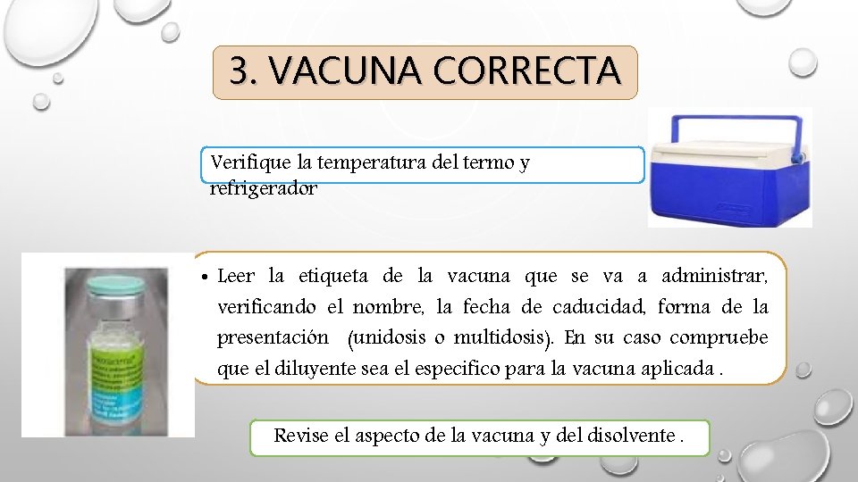 3. VACUNA CORRECTA Verifique la temperatura del termo y refrigerador • Leer la etiqueta 3. VACUNA CORRECTA Verifique la temperatura del termo y refrigerador • Leer la etiqueta