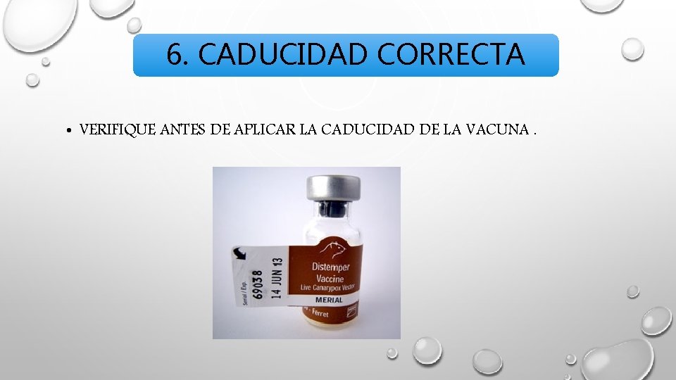 6. CADUCIDAD CORRECTA • VERIFIQUE ANTES DE APLICAR LA CADUCIDAD DE LA VACUNA. 6. CADUCIDAD CORRECTA • VERIFIQUE ANTES DE APLICAR LA CADUCIDAD DE LA VACUNA.