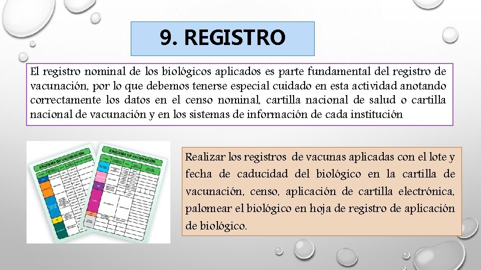 9. REGISTRO El registro nominal de los biológicos aplicados es parte fundamental del registro 9. REGISTRO El registro nominal de los biológicos aplicados es parte fundamental del registro