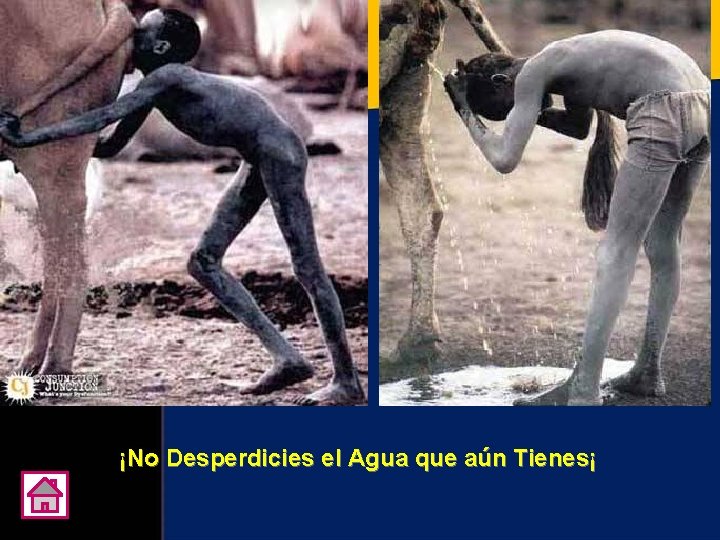 ¡No Desperdicies el Agua que aún Tienes¡ 