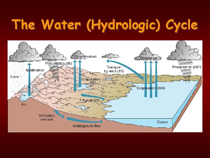 The Water (Hydrologic) Cycle 