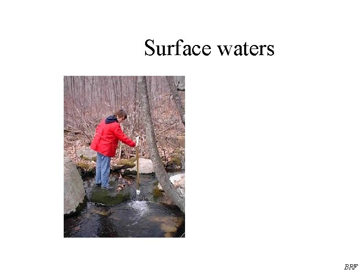 Surface waters BRF 