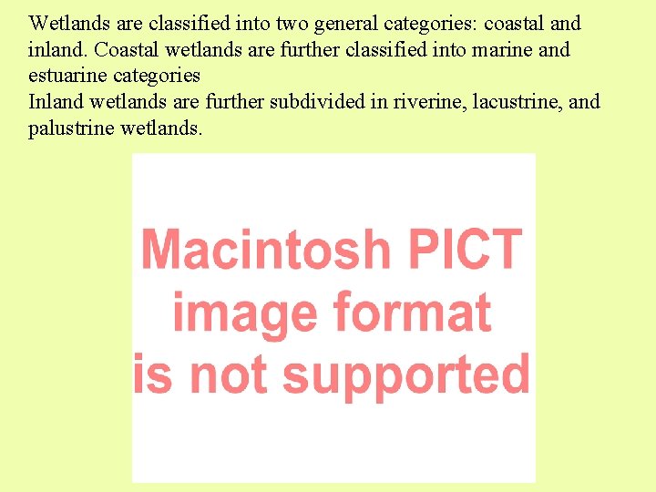 Wetlands are classified into two general categories: coastal and inland. Coastal wetlands are further