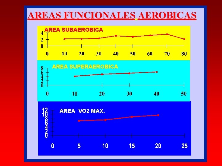 AREAS FUNCIONALES AEROBICAS AREA SUBAEROBICA AREA SUPERAEROBICA AREA VO 2 MAX. AREAS FUNCIONALES AEROBICAS AREA SUBAEROBICA AREA SUPERAEROBICA AREA VO 2 MAX.