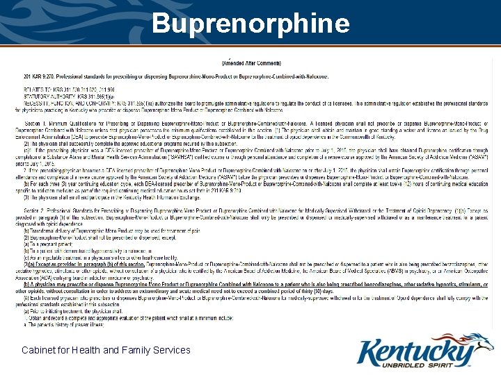 Buprenorphine Cabinet for Health and Family Services 