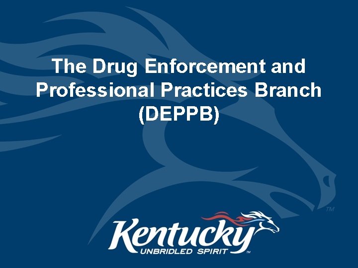 The Drug Enforcement and Professional Practices Branch (DEPPB) 