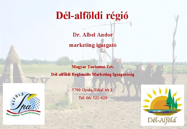 Dél-alföldi régió Dr. Albel Andor marketing igazgató Magyar Turizmus Zrt. Dél-alföldi Regionális Marketing Igazgatóság