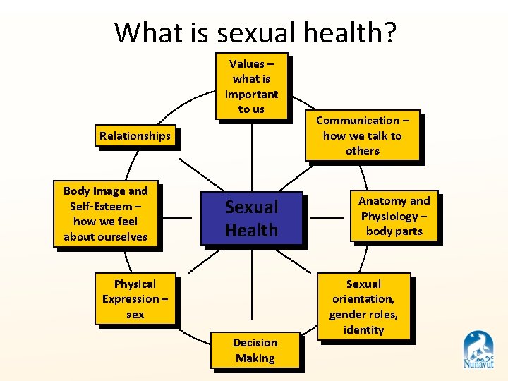 What is sexual health? Values – what is important to us Relationships Body Image