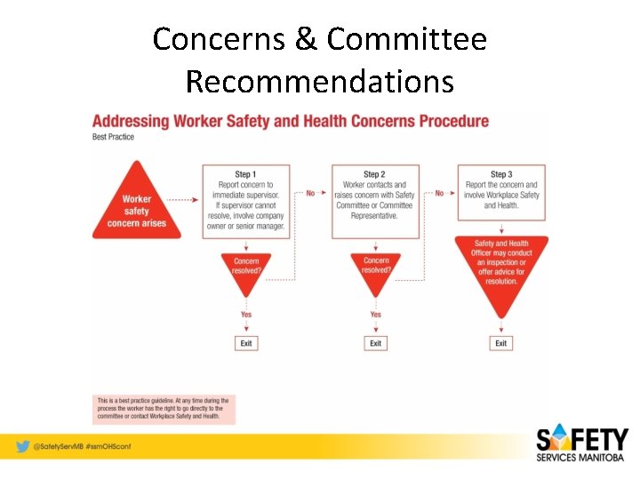 Concerns & Committee Recommendations 