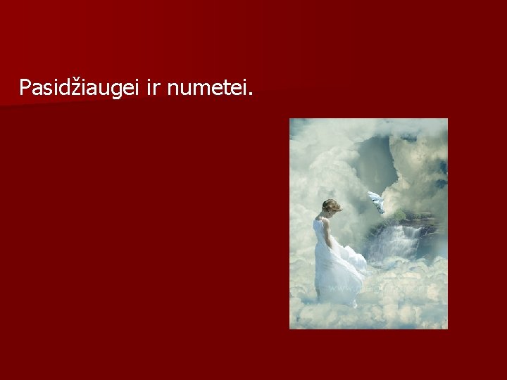 Pasidžiaugei ir numetei. 
