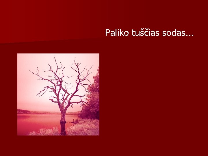 Paliko tuščias sodas. . . 
