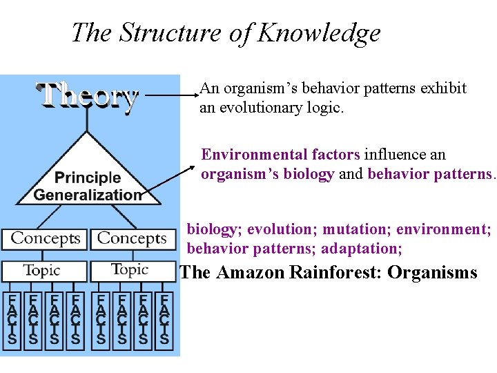The Structure of Knowledge An organism’s behavior patterns exhibit an evolutionary logic. Environmental factors