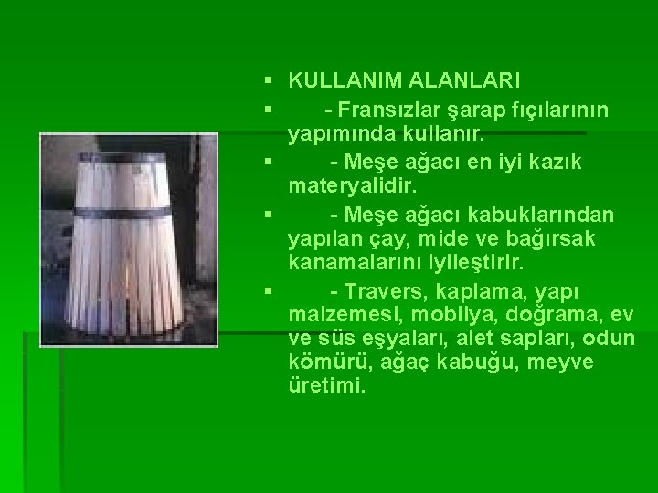 § KULLANIM ALANLARI § - Fransızlar şarap fıçılarının yapımında kullanır. § - Meşe ağacı